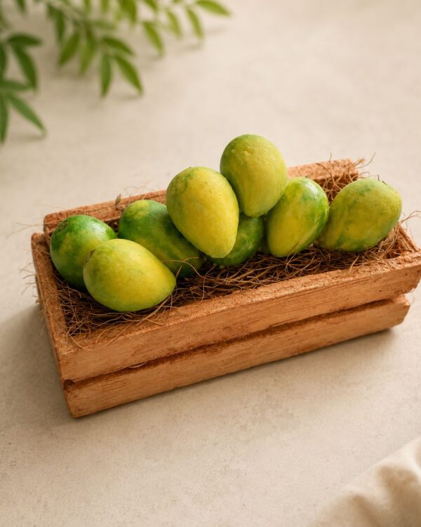 Mango Peti Miniature Food 3D Fridge Magnet